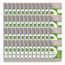 BareLuxury Detox Ginger  Green Tea 4 Pack - Case Pack of 48