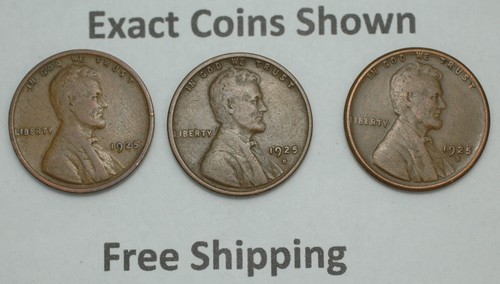 1925-P-D-S Lincoln Wheat cent 3 copper coins year mint set pennies Free ...
