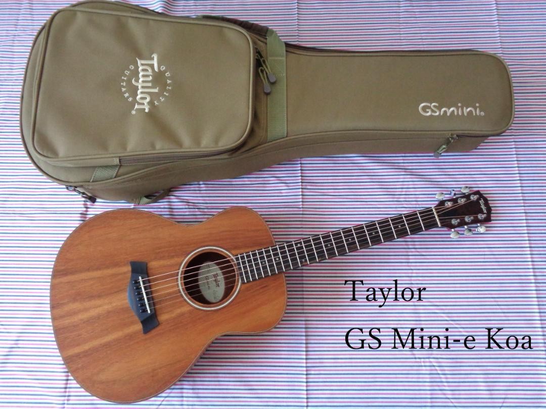 Taylor Gs Mini-E Koa Es-B Pickup No.MG1931 | eBay