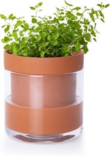 Vine 4 Inch Self Watering Planter Pot, Terrac...