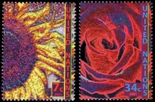 UN New York #Mi870-Mi871 MNH 2001 Rose Sunflower Definitives [803-804]