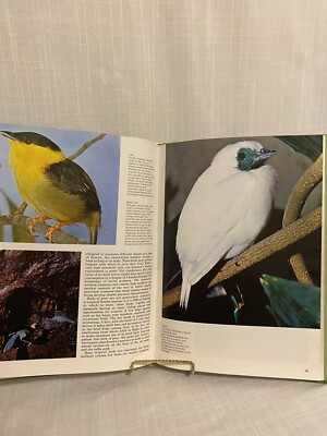 Birds and Their World Hardcover John Andrews | eBay
