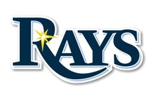 Tampa Bay Rays Precision Cut Decal / Sticker