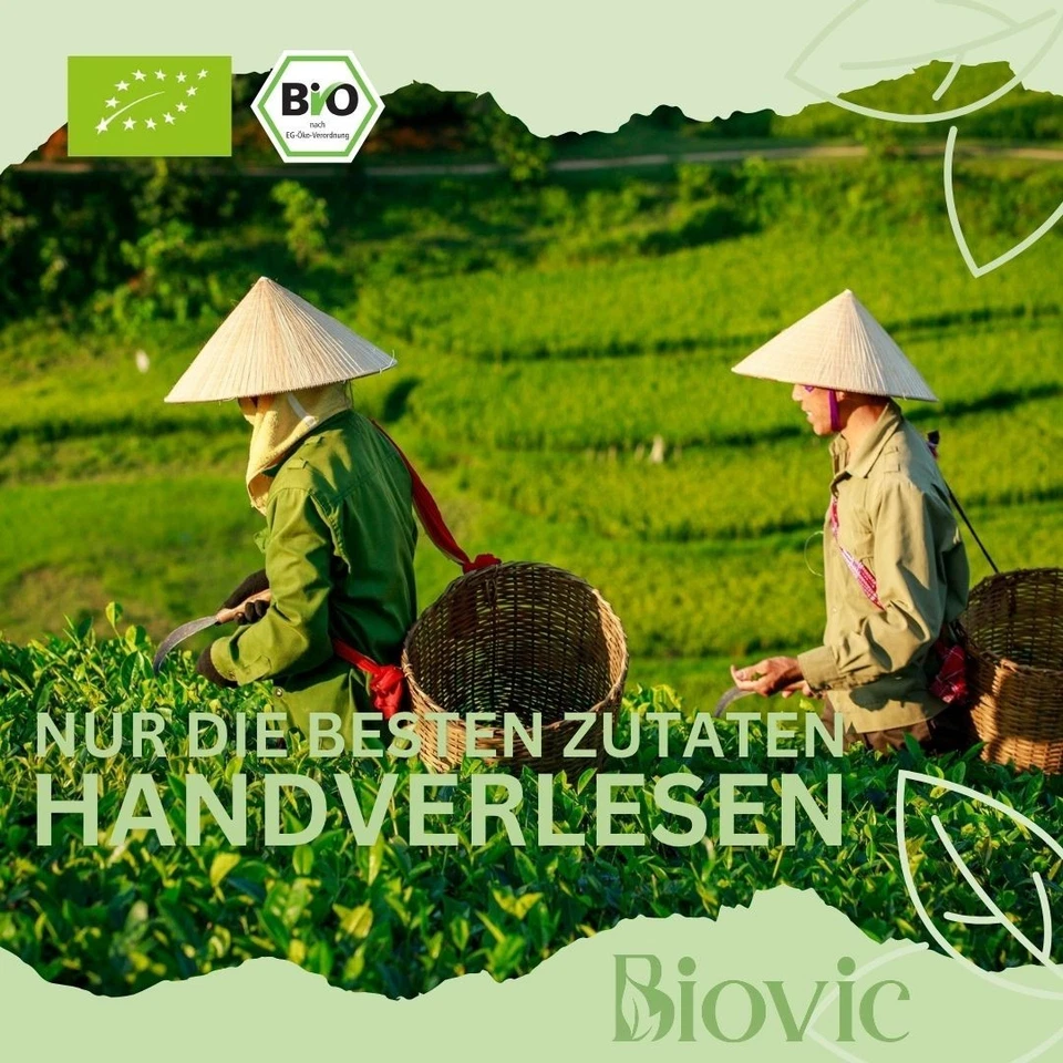 Granatapfel Holunderblüte Bio Grüntee Sencha Antioxidantien feiner Genuss Biovic - Bild 4 von 4