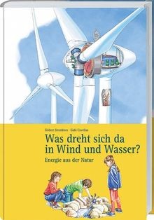 Was dreht sich da in Wind und Wasser?: Energie aus ... | Buch | Zustand sehr gut
