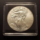 2013 American Silver Eagle 1oz $1 BU - .999 Fine Silver ASE - Better Date