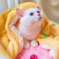  JB Winter Warm Soft Velvet Pet Dog Cat Puppy Mat Pad House Kennel Cushion