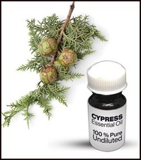 Cypress Essential Oil 100 Pure Undiluted 10ML-500ML 