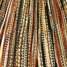 4-7 Black with Browns Beige Quality Salon Feathers for Hair Extension