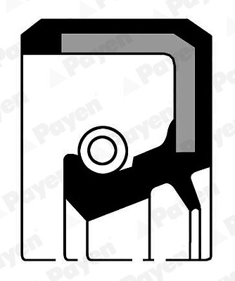 PAYEN Wellendichtring Kurbelwelle für Toyota Hiace IV Bus _H1_ _H2_ 2.5 D-4D - Bild 1 von 1