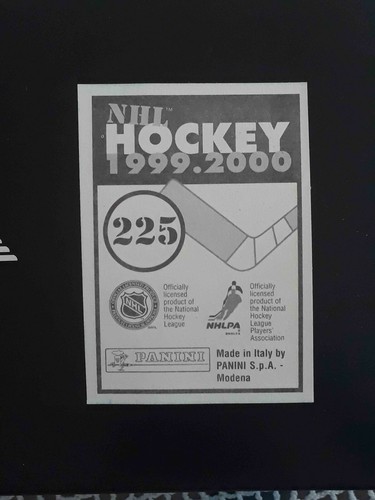 Panini NHL Hockey 1999 2000 99 00 ELIGE CUALQUIER PEGATINA CASI NUEVA/COMO NUEVA #201-360# - Imagen 47 de 297