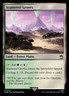 MTG - Scattered Groves (301) - Universes Beyond: Doctor Who - Near Mint