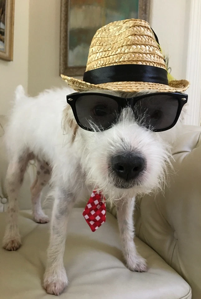 WOMENS S M SM Santa Maria Novella TUBEROSE TUBEROSA Perfume 3.3 OZ EDC FLORAL - Image 4 of 4