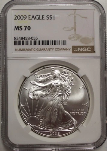 Photo of a 2009 American Silver Eagle from an eBay listing that sold on Jul 19, 2026