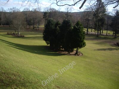 Photo 6x4 Trees in Bellfield Park Banchory/NO6995  c2011