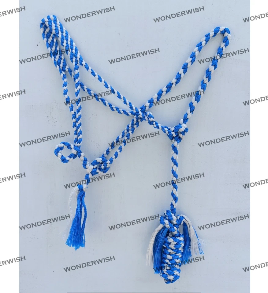 Soporte de cuerda de caballo de diseño resaltado blanco de nailon con plomo en 9 colores y 3 tamaños Foto 3 de 4