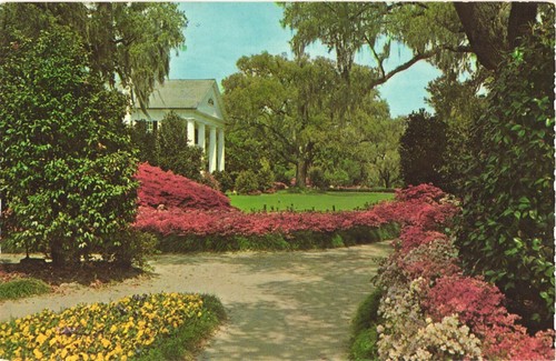 Orton Plantation Established In 1725 Near Wilmington North Carolina Postcard Ebay