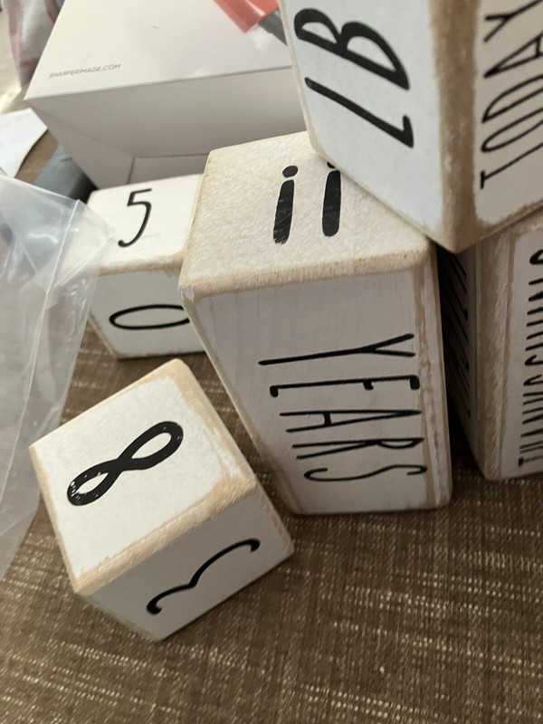 Baby/ child Calendar/ Milestone Blocks 6 Pieces Main Event Gender Neutral Colors