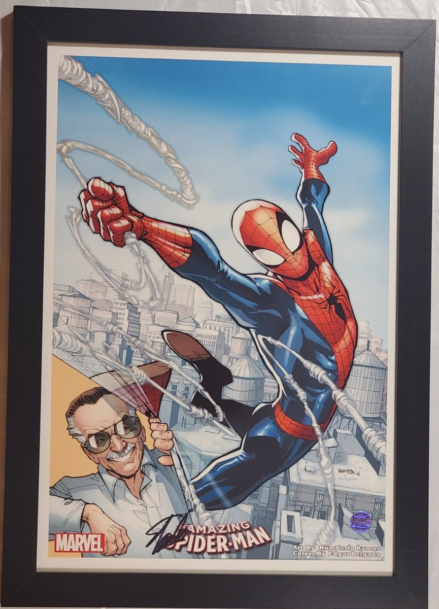 🟠 Amazing Spider-Man Print Signed By Stan Lee - COA #6352