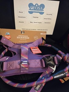 arcadia trail dog Collar, Harness and Leash. Purple, size- X - Large