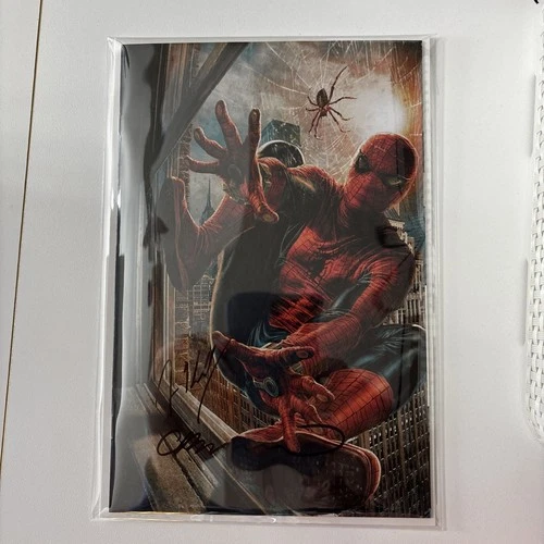 AMAZING SPIDER-MAN #1 BERMEJO 1:200 VARIANT Kelly/bermejo 2X SIGNED No COA NM