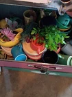 Fiesta Dishes