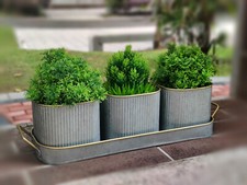 Set of 3 Metal Windowsill Herb Planters Kitchen Garden Herb Pots With Tray