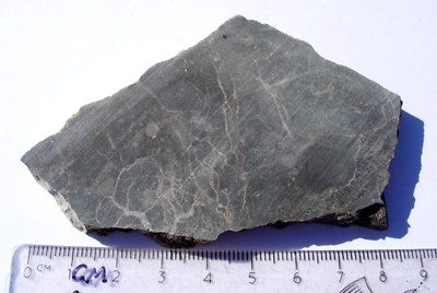 58 grams Alamo meteorite Impact Breccia from Nevada - unpolished slice