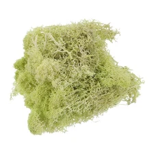 1.8 OZ Fake Moss Preserved Reindeer Moss Artificial Moss Lichen Yellow-Green