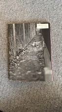 Nobuyoshi Araki Photography Book Living Cats in Tokyo LIKE NEW