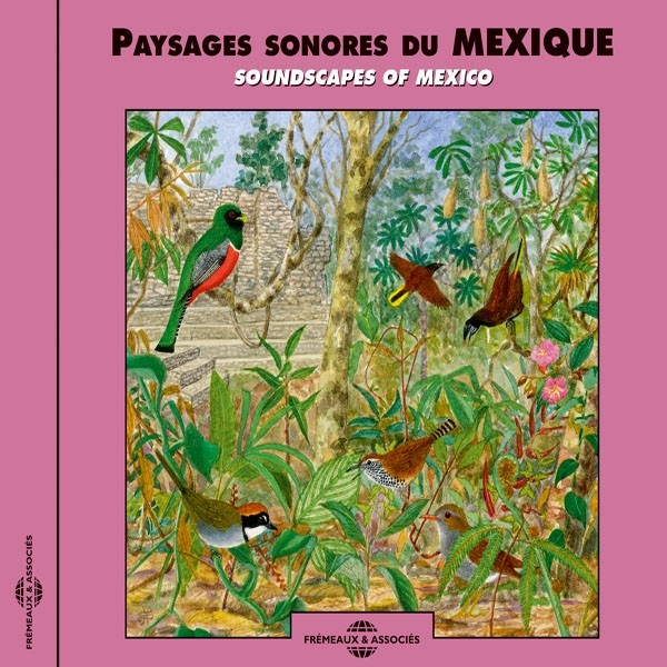 Soundscapes Of Mexico Paysages Sonores Du Mexique CD New 3448960269827