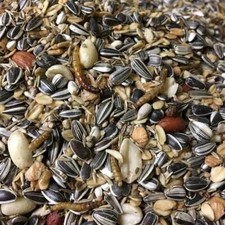 Debes Wildvogelfutter Premium 15 kg mit Mehlwürmern - ohne Milo Mais Weizenkorn