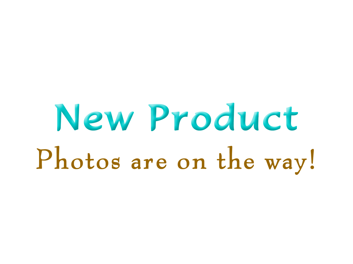 Juego de pendientes con clip Marsa enchapados en oro en forma de concha joyas