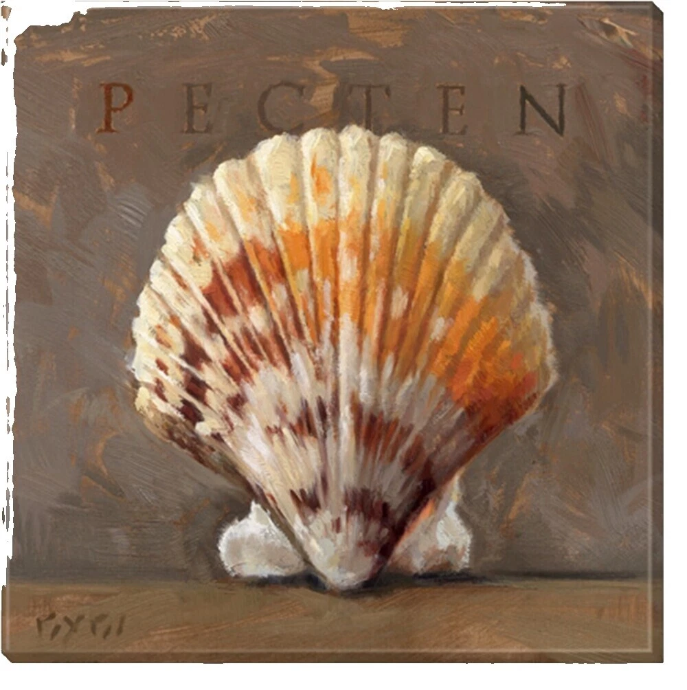 Reproduction Seashells Home Décor Giclees & Iris Prints