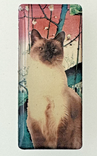 x9 Vintage Cat Cats Meow Kittens Refrigerator Fridge Magnets - Picture 9 of 12