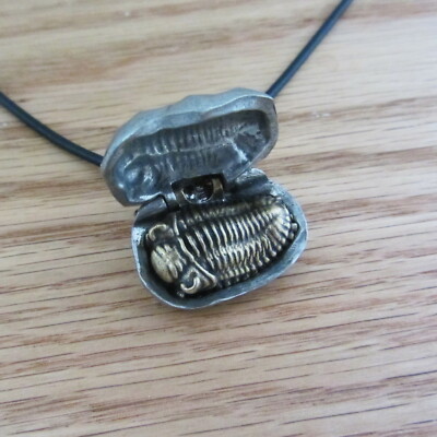 Trilobite Concretion Pendant Eldredgeia venustus Trilobite Nodule Necklace Trilobite Concretion Pendant Eldredgeia venustus Trilobite Nodule Necklace