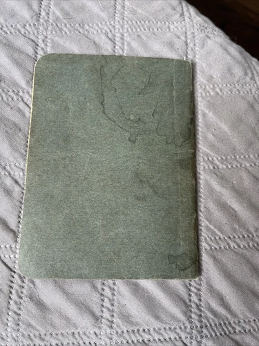 ANTICO LIBRETTO PASSAPORTO SVIZZERO,SUISSE,DATATO 1930 con francobolli scaduti - Foto 10 di 10