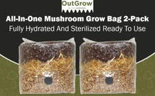 All in One Mushroom Grow Bag 2-Pack) | For Dung Loving Mushrooms | Ready To Use