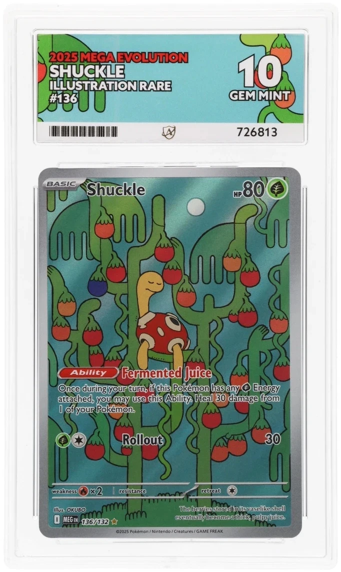 Shuckle 136/132 Illustration Rare English Pokémon Card Ace 10 Gem Mint