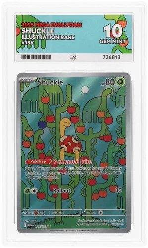 Shuckle 136/132 Illustration Rare English Pokémon Card Ace 10 Gem Mint
