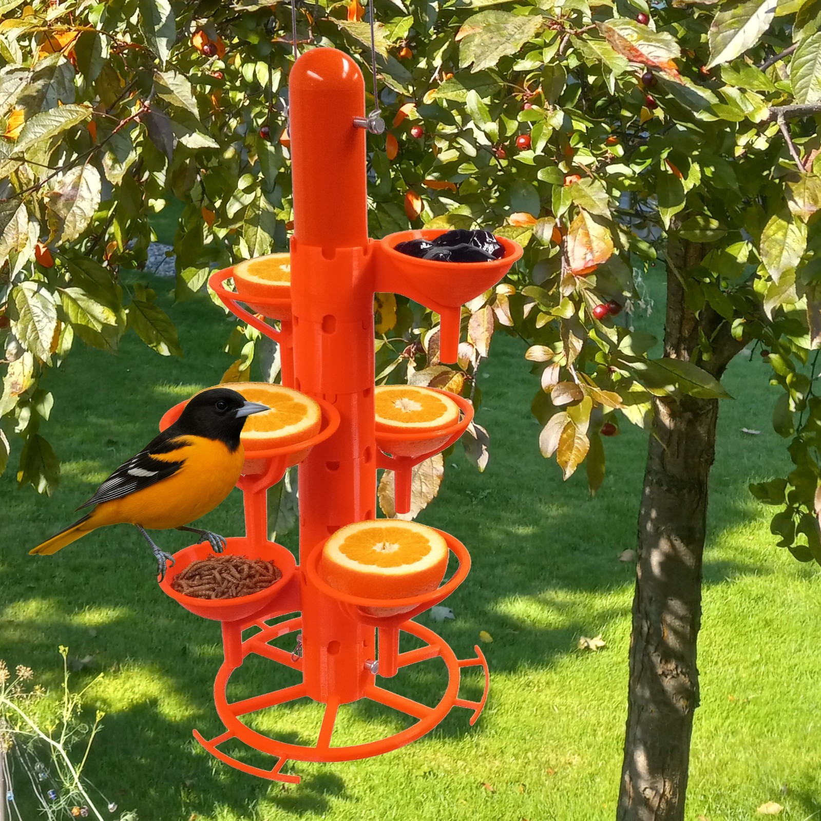 With 4 Orange Holders, 1 Jelly Dish, 1 Mealworm Dish