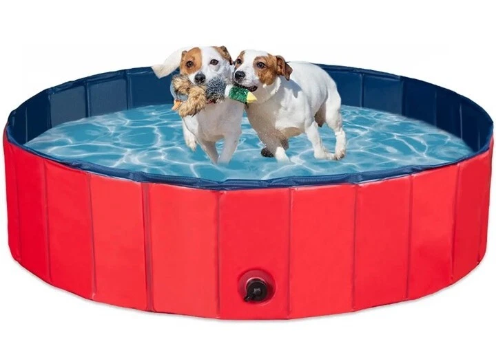 Ebay dog best sale pool