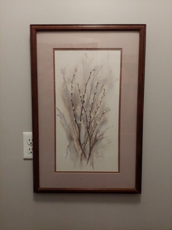 Pussy Willows Watercolor Painting Original Soft Spring Botanical Art By S. MAYS