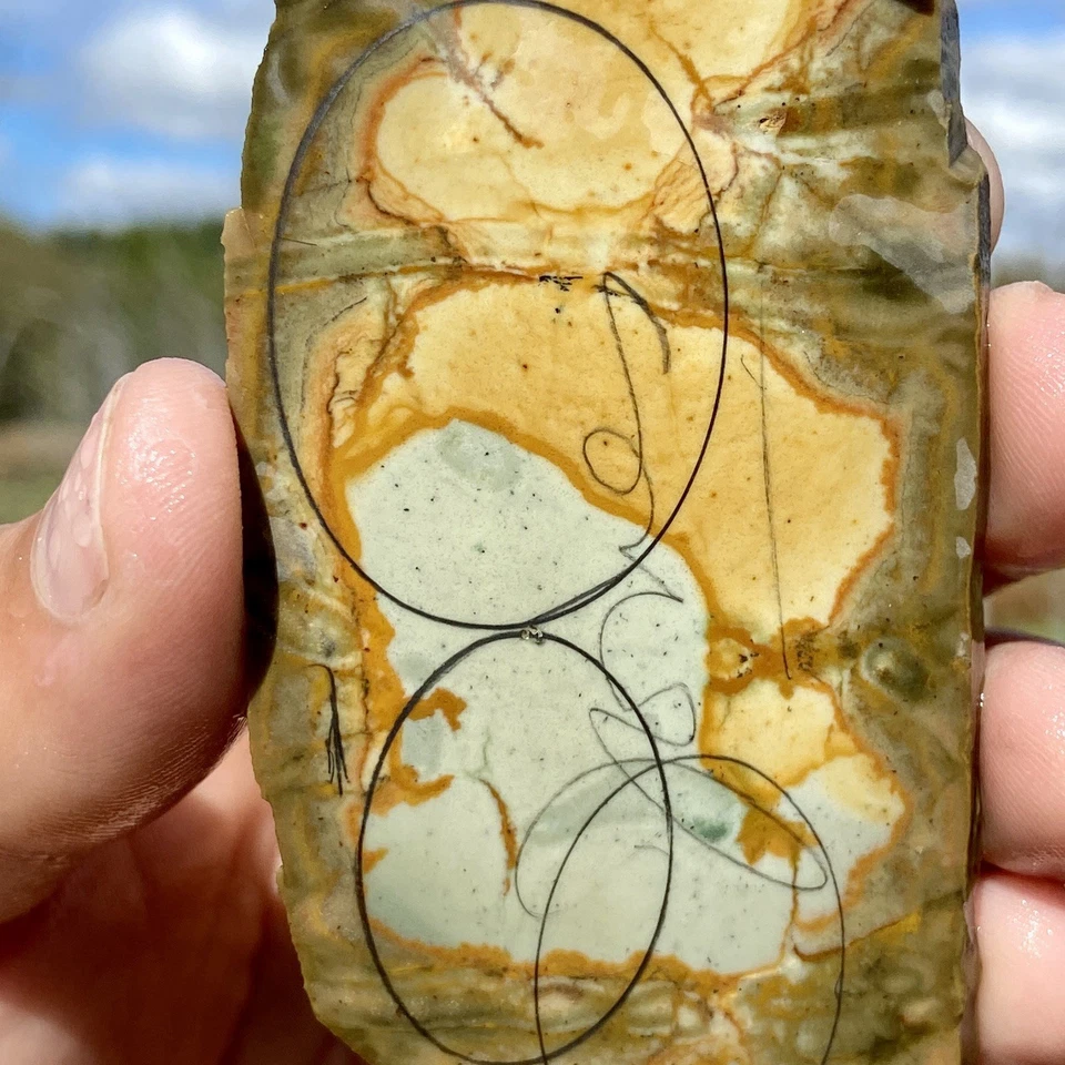 Owyhee Picture Jasper Slab 1.82 Oz - Image 4 of 4