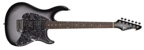 Peavey Raptor® Custom Silverburst Electric Guitar