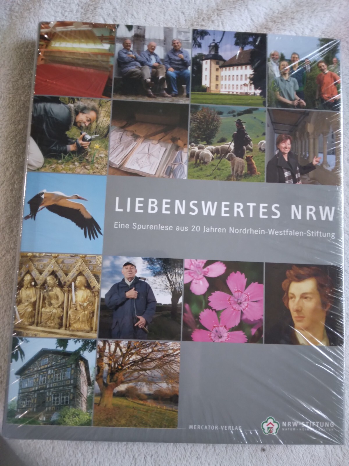 Bild 1 von 2