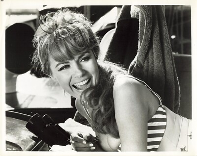 A Man Called Dagger 1968 Movie Photo 8x10 Terry Moore Bikini Pin Up  *P121b