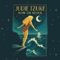Judie Tzuke - Now Or Never - Vinyl Record - G3Z