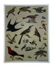Vintage Hallmark Birds Nest Eggs Sticker Sheet
