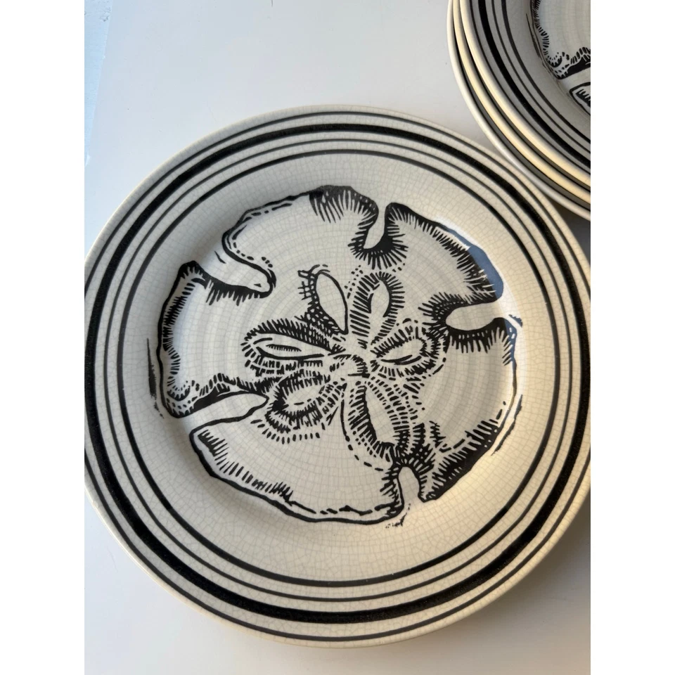 Набор из 4 песчаных долларовых тарелок Pottery Barn | пляж прибрежная морская ширина 9,5 дюйма - Изображение 2 из 4